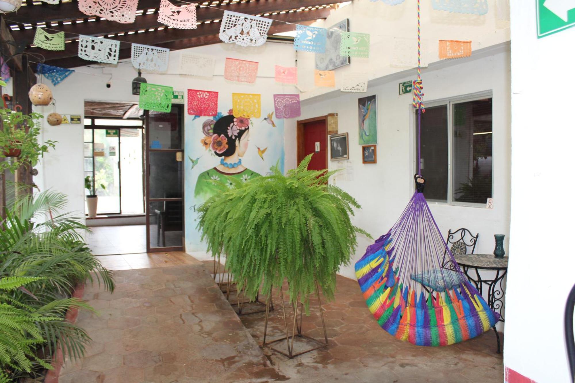 Cabañas Colibrí Bacalar Exterior foto