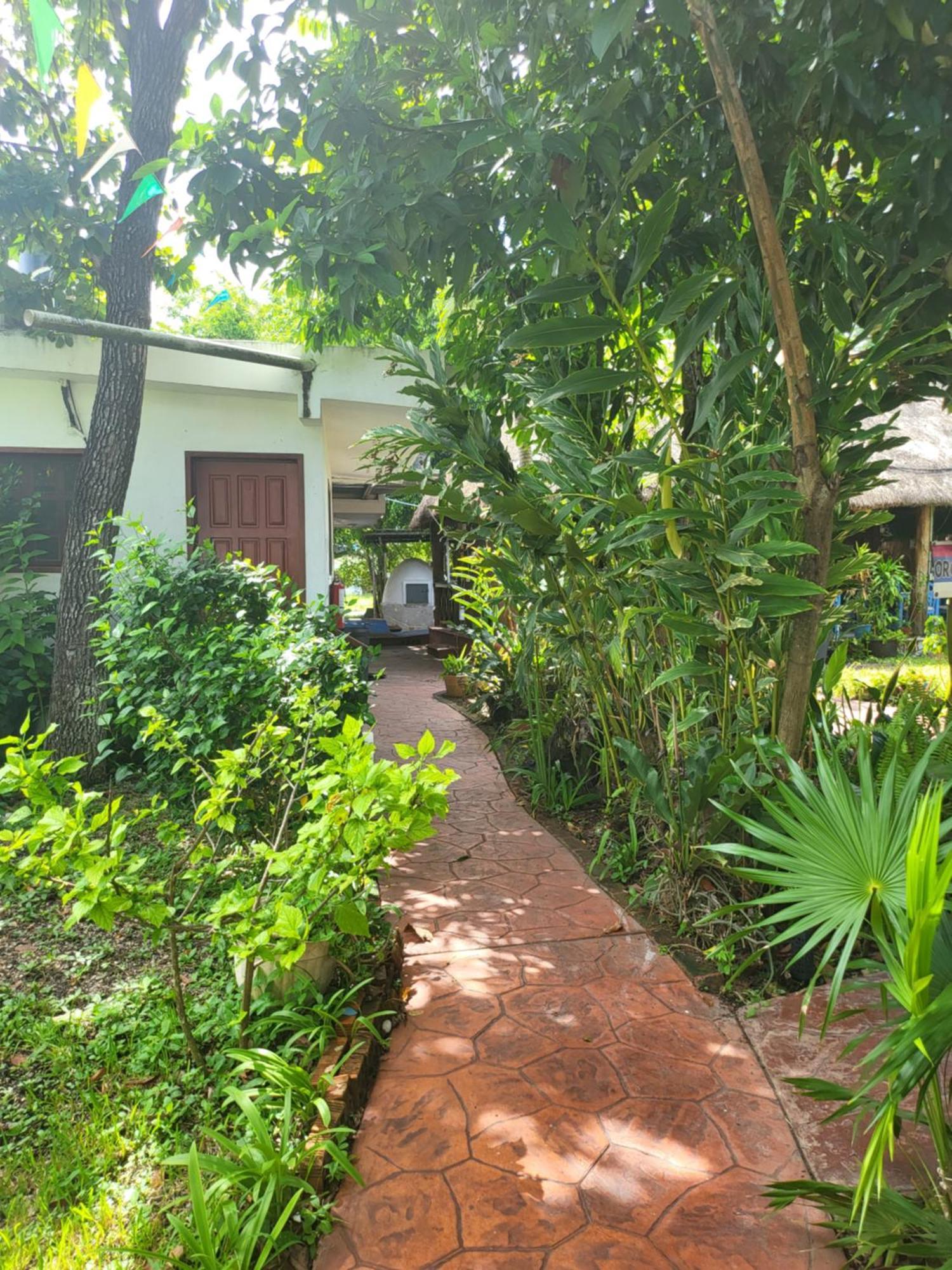 Cabañas Colibrí Bacalar Exterior foto